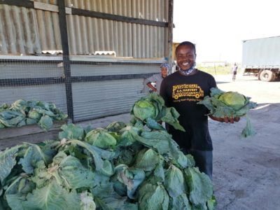 SA Harvest Springfield Farm