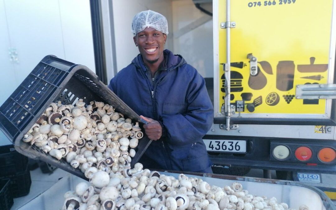 SA Harvest celebrates 30 million meals and third birthday on World Food Day, 16 October